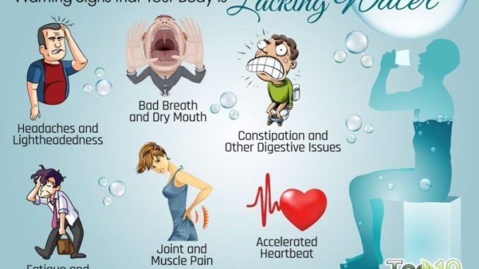 how-hydration-affects-your-body-and-brain_1.jpg