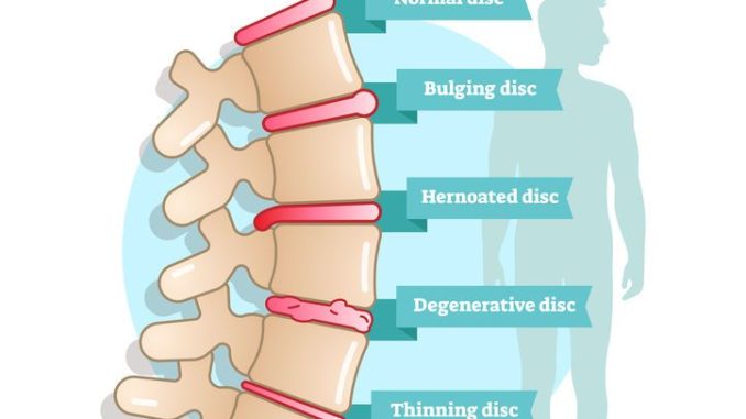 the-science-behind-chiropractic-care_1.jpg